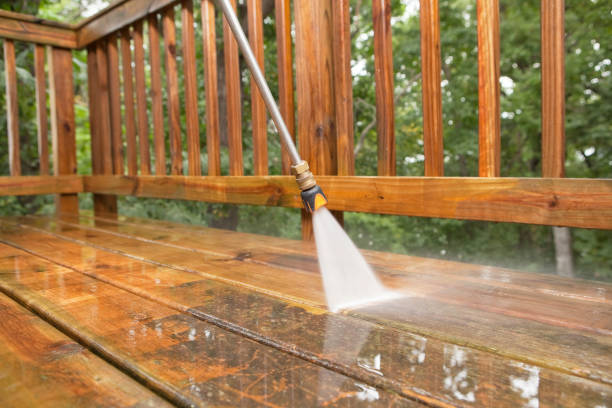 Animal Enclosure Cleaning in Sundown, TX